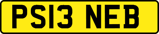 PS13NEB