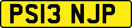 PS13NJP