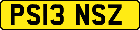PS13NSZ