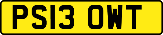 PS13OWT