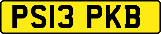 PS13PKB