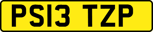 PS13TZP