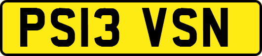 PS13VSN