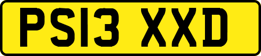 PS13XXD