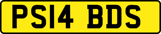 PS14BDS