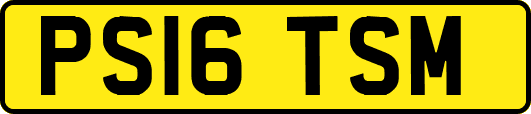 PS16TSM