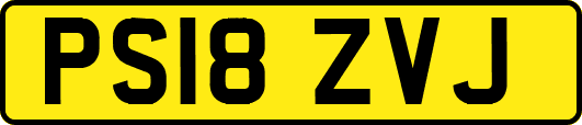 PS18ZVJ