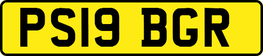 PS19BGR