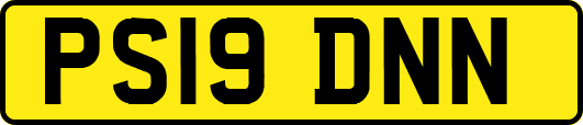 PS19DNN
