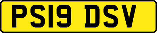 PS19DSV