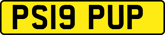 PS19PUP