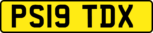 PS19TDX