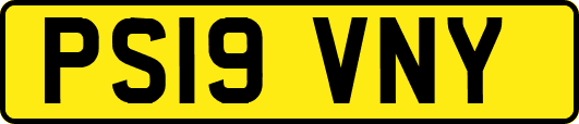 PS19VNY