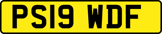 PS19WDF