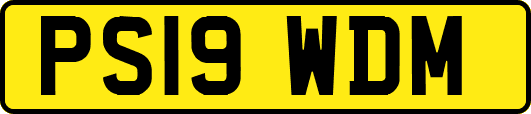 PS19WDM