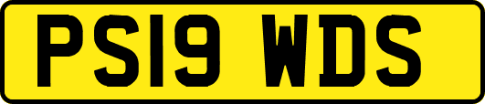 PS19WDS