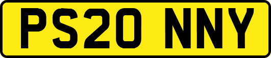 PS20NNY