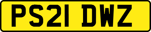 PS21DWZ