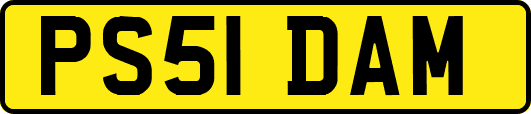 PS51DAM