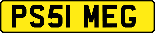 PS51MEG