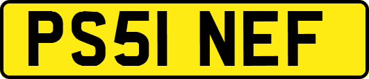 PS51NEF