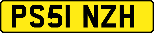 PS51NZH