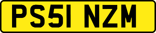 PS51NZM
