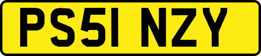 PS51NZY