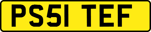 PS51TEF