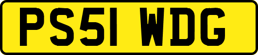 PS51WDG