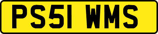 PS51WMS