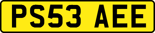 PS53AEE