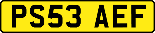 PS53AEF