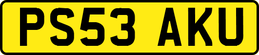 PS53AKU