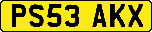 PS53AKX