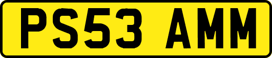 PS53AMM