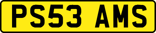 PS53AMS