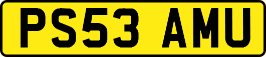 PS53AMU