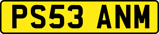 PS53ANM