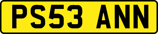 PS53ANN
