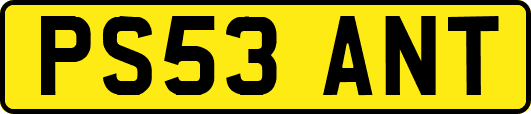 PS53ANT