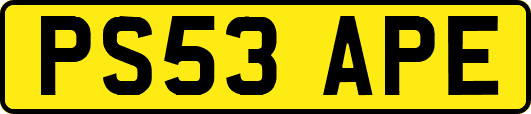 PS53APE