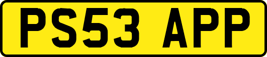 PS53APP
