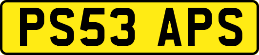 PS53APS