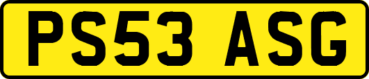 PS53ASG