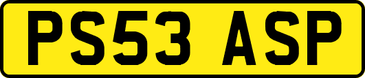 PS53ASP