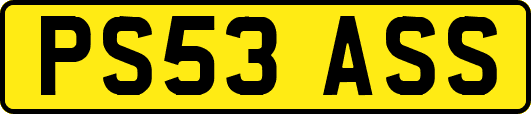 PS53ASS