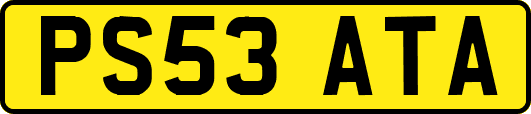PS53ATA