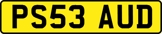 PS53AUD