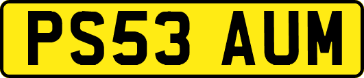 PS53AUM